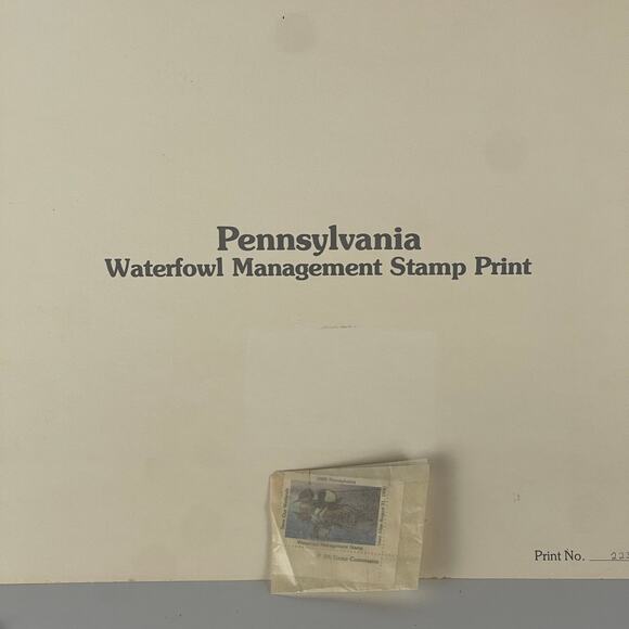 Pennsylvania Waterfowl Management Stamp Print Hooded Merganser 1999 #2235 - Picture 2 of 5